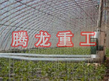 大棚花卉供暖設(shè)備、大棚卉采暖設(shè)備、大棚花卉取暖設(shè)備