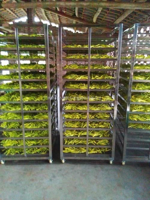 黃花菜烘干機、黃花菜烘干設(shè)備、黃花菜干燥機、黃花菜干燥設(shè)備、